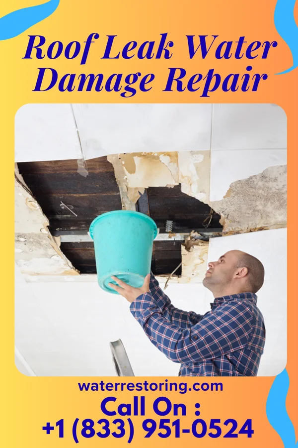 Roof Leak Water Damage Repair in Athol, KS